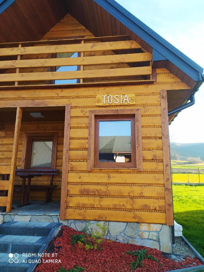 Zajazd ,,Rys" Dobra  Екстер'єр фото